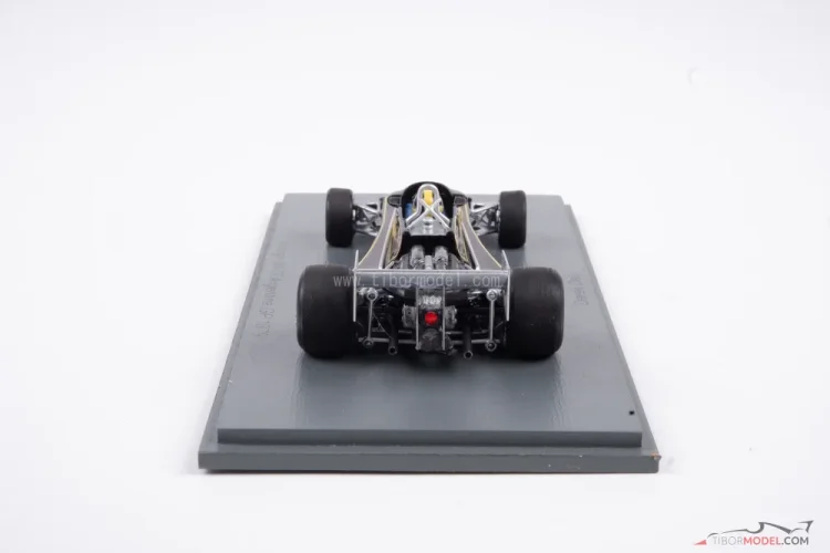 Ensign N177 - Derek Daly (1979), VC Argentíny, 1:43 Spark