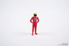 Ayrton Senna, McLaren 1993, 1:43 Cartrix