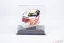 Lewis Hamilton 2015 World Champion, Mercedes helmet, 1:5 Spark