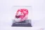 Charles Leclerc 2024 Monaco GP mini helmet, Ferrari, 1:5 Looksmart