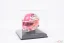 George Russell 2025 Miami GP mini helmet, Mercedes, 1:5 Spark