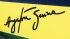 Ayrton Senna Shop