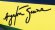 Ayrton Senna Shop