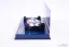 Williams FW16 - Ayrton Senna (1994), San Marino, 1:43 Minichamps