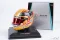 Lewis Hamilton 2017 Majster sveta, Mercedes prilba, 1:5 Spark
