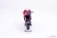 Ducati Desmosedici - Francesco Bagnaia (2022), 1:18 Maisto