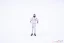 Jenson Button, Brawn GP 2009, 1:43 Cartrix