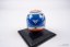 Pierre Gasly 2019 Toro Rosso helmet, 1:5 Spark